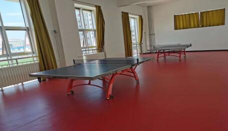 體育設施的發展有哪些趨勢？